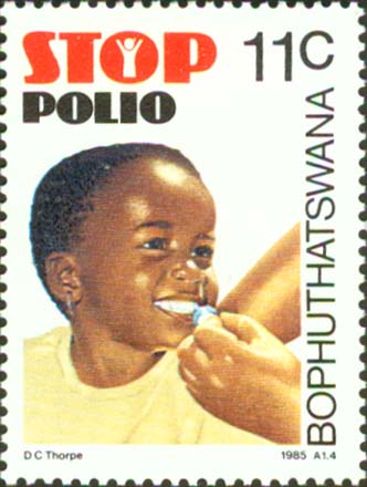  No.: SG154 