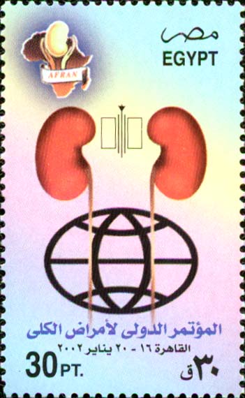  No.: sg2229 