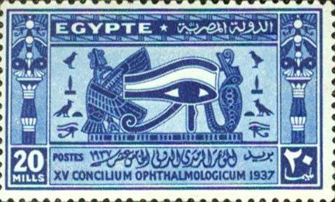 No.: dg264
