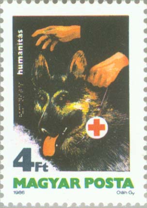No.: sg3688