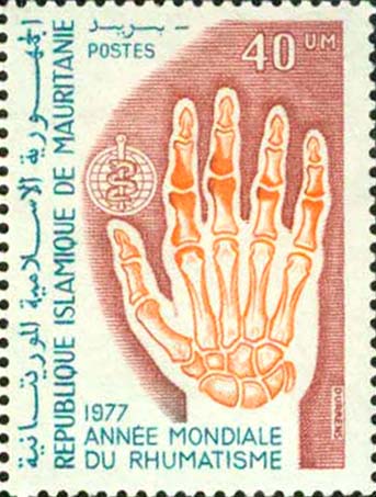  No.: sg552 