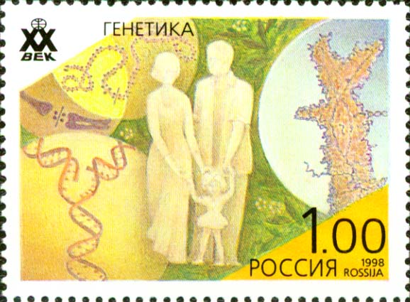 No.: sg3884